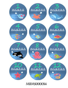 Monthly baby stickers. Under water. Under sea, dolphin, shark, fish, octopus, whale