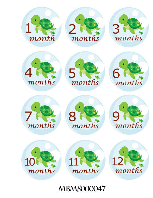 Monthly neutral gender baby stickers. Turtle family themed – M&D