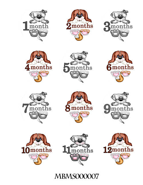 Monthly Baby Stickers 12 Month Milestone Sticker for Newborn