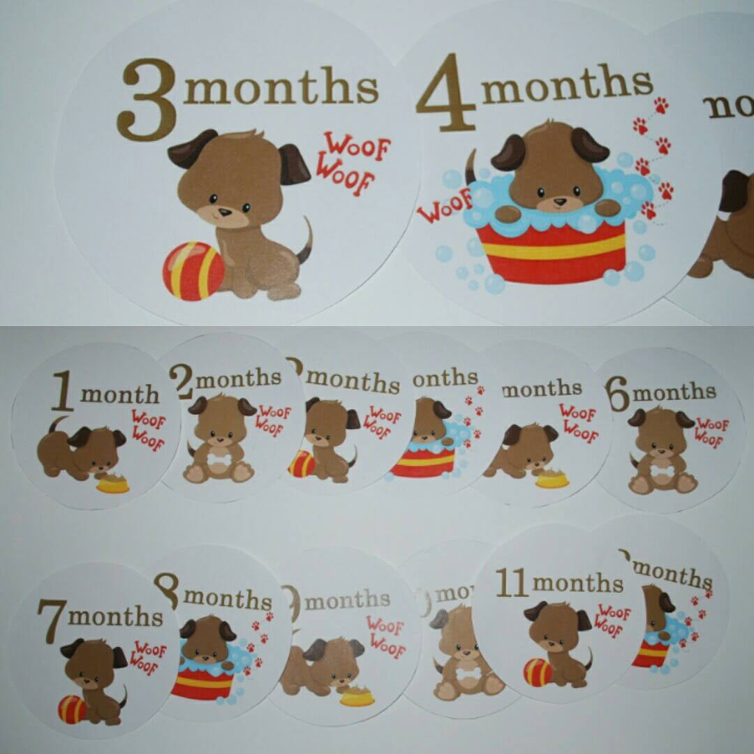 Puppy Monthly baby stickers. Onesie month stickers.