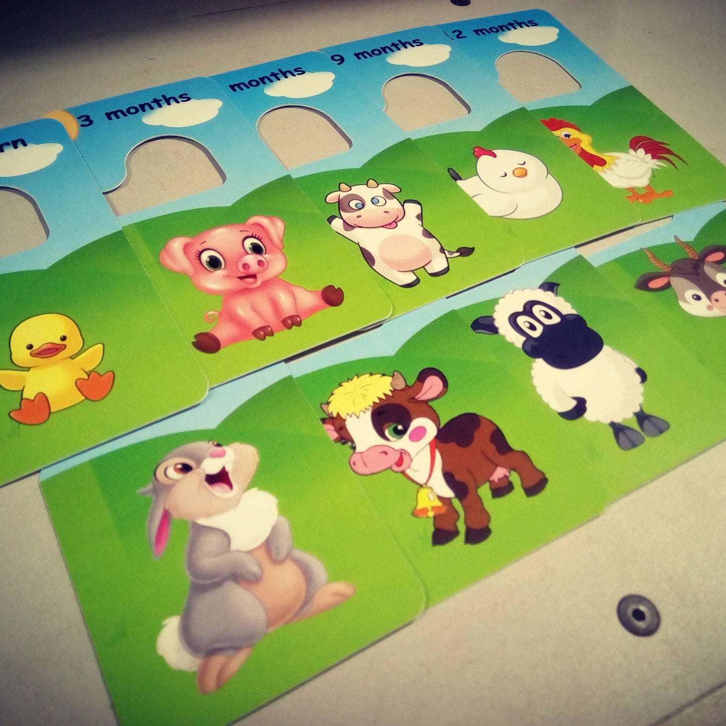 Baby clothes closet dividers. Farm animals. Newborn - 4T. CHD000007