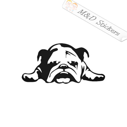 British Bulldog Dog (4.5" - 30") Vinyl Decal in Different colors & size for Cars/Bikes/Windows