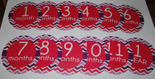 Monthly baby stickers. Onesie month stickers.