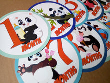 Pandas themed monthly bodysuit baby stickers