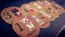 Pitbulls Monthly baby stickers. Onesie month stickers. Puppies, pitts, pitbulls, dogs