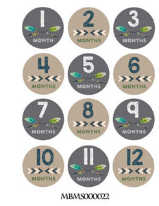Monthly baby stickers. Unisex. Arrows, tribal, indians, simple bodysuit stickers