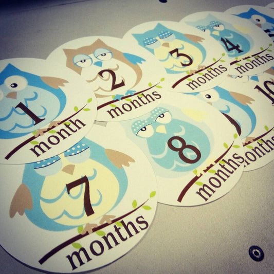 Monthly baby stickers. Blue owls bodysuit infants boys month labels