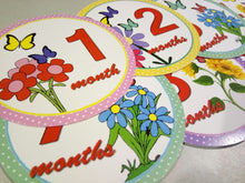 Monthly baby stickers. Butterflies and flowers bodysuit infants month labels.