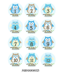 Monthly baby stickers. Blue owls bodysuit infants boys month labels