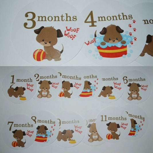 Puppy Monthly baby stickers. Onesie month stickers.