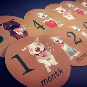 Pitbulls Monthly baby stickers. Onesie month stickers. Puppies, pitts, pitbulls, dogs