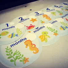 Ocean life themed monthly baby stickers