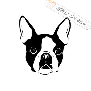 Boston Terrier Dog (4.5" - 30") Vinyl Decal in Different colors & size for Cars/Bikes/Windows