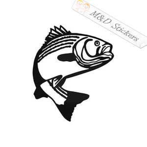 Bass fish (4.5" - 30") Vinyl Decal in Different colors & size for Cars/Bikes/Windows