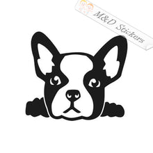 Peaking French Bulldog Dog (4.5" - 30") Vinyl Decal in Different colors & size for Cars/Bikes/Windows