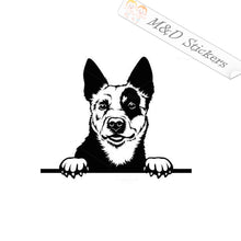 Peaking Australian Cattle Dog (4.5" - 30") Vinyl Decal in Different colors & size for Cars/Bikes/Windows