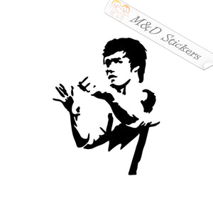 2x Bruce Lee Vinyl Decal Sticker Different colors & size for Cars/Bikes/Windows