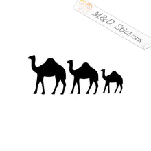 2x Camels Vinyl Decal Sticker Different colors & size for Cars/Bikes/Windows